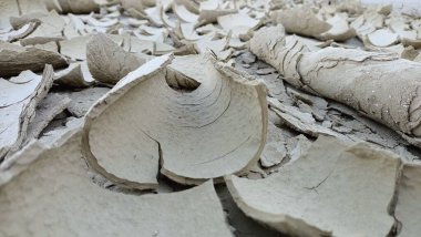 Bu, kabuk soyma katmanlarının sanatsal olarak yakın plan bir görüntüsü, karmaşık dokular ve benzersiz desenler sergiliyor.