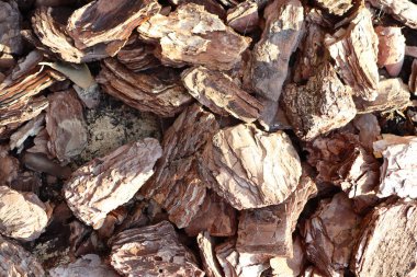 Bu desenli ağaç kabuğu, peyzaj projeleri, bahçe yatakları ve toprak koruma çalışmaları için mükemmel bir seçim.