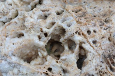 Eşsiz, gözenekli dokusunu ve büyüleyici karmaşık oluşumlarını gözler önüne seren bir taşın yakın görüntüsü.