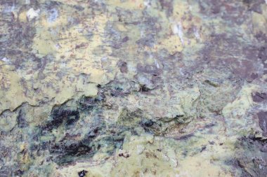 Çok güzel desenli taş bir yüzeye yakından bakmak. Toprak renkler ve karmaşık tasarımlar sergiliyor.