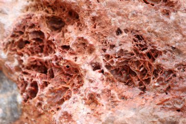 This is a detailed view of a vibrant red rock that showcases its porous texture and its unique geological formations clipart