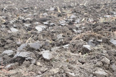 Bu yeni sürülmüş toprağı gösteren bir görüntü, tarıma çeşitli ekinler ekmeye mükemmel bir şekilde uygun.