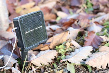 Düşen yaprakların arasına, doğal bütünleşmeyi ön plana çıkaran dikkate değer bir güneş enerjili cihaz yerleştirilir.