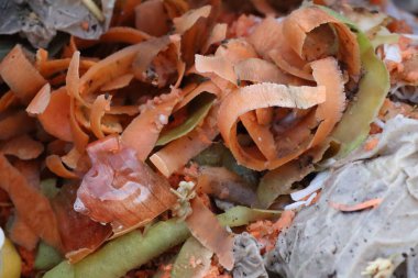 Canlı sebze artıklarının kapanışı kompozisyonların önemini vurguluyor ve sürdürülebilirliği destekliyor