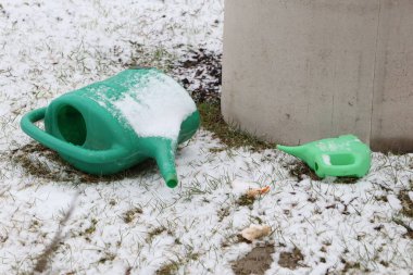 Two vibrant green watering cans are placed on the snowy ground, beautifully contrasting with the winter scenery clipart