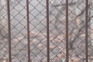 This image showcases a closeup view of a rusty chain link fence set against a beautifully blurred, natural background clipart