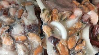 A closeup view of a beautifully frozen seafood mix that showcases mussels, squid, and octopus, all set in a clear gel clipart