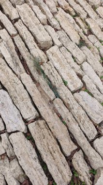 Bu, etrafını çevreleyen doğal dokular ve canlı yeşilliklerle bezenmiş bir taş yolu detaylandıran yakın çekim görüntüsü.