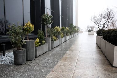 Yeşilliklerle dolu modern bir yürüyüş yolu mekanı değiştiren şık bir tasarımı ön plana çıkarıyor.