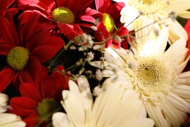 Bu canlı kırmızı ve beyaz papatya buketi özel durumlar ve yaşamı kutlamak için mükemmeldir.