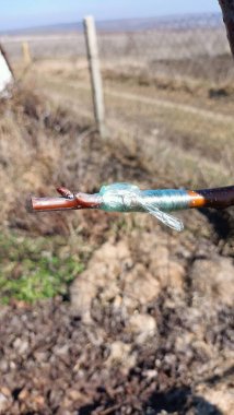 Yaratıcı bir balık oltası açık havada sergileniyor. Heyecan verici bir balık avına hazırlanmak için.