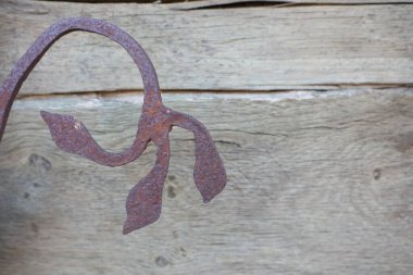 Bu parça, yıpranmış ahşap bir zemine karşı işlenmiş karmaşık bir demir yaprak tasarımı içeren rustik bir detayı vurguluyor.