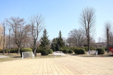 Huzurlu ve sakin bir park sahnesi davetkar banklar, canlı yemyeşil alanlar ve açık mavi gökyüzü.