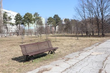 Huzurlu ve sakin bir park sahnesinde çıplak ağaçlar ve yemyeşil bir alanla çevrili rahat bir ahşap bank sergileniyor.