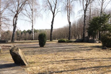 Huzurlu ve sakin bir sahne çıplak ağaçların yanında barışçıl bir ortamda eşsiz kaya oluşumları sergiliyor.