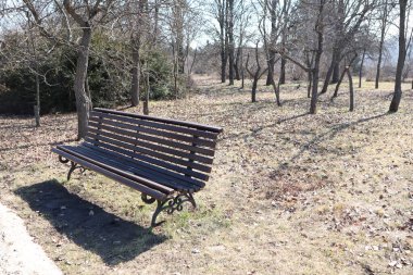 Bereketli ağaçların altında korunan huzurlu bir park bankı, sakin bir ortamda derin bir sükunet hissi uyandırıyor.