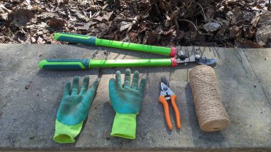 Eldivenler, budamalar ve kesiciler gibi temel bahçe aletleri etkili ve düzgün bitki bakımı için hayati önem taşır.