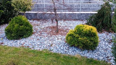 Bu sakin bahçe, arka bahçenize mükemmel bir peyzaj ilhamı sağlayan düzenlenmiş çalılar ve çakıllar içerir.