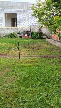 Sade ve sade bir manzarayla çevrili yemyeşil çimlerin olduğu güzel, sakin bir arka bahçe manzarası.