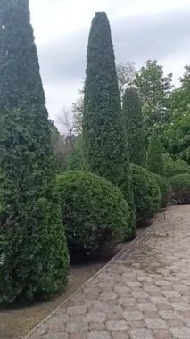 Güzel manzaralı bir bahçe. Canlı ağaçlar sergileniyor. Çekici bir taş patikanın yanında düzenlenmiş.