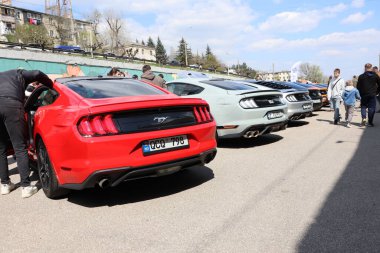 09.3.2025 Moldova çeşitli Ford Mustang 'ler parlak mavi gökyüzünün altında canlı bir araba meraklısı toplantısında sıraya dizildi.