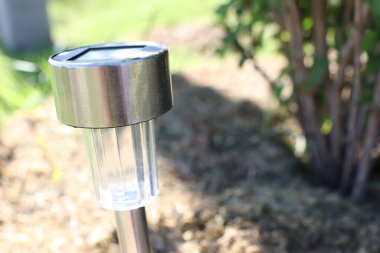 Bereketli yeşillikte yuva yapmış bir güneş bahçesi ışığına yakın çekim, açık alanları aydınlatmak için mükemmel.