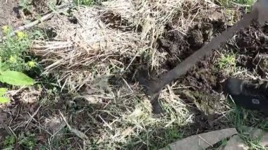 Zengin toprağı eşeleyen, verimli bir bahçıvanlık projesine hazırlanan ve açık hava eğlencesini teşvik eden biri.