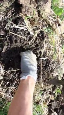 Toprağı kazma süreci çeşitli bahçe işleri ve peyzaj faaliyetleri ve amaçları için çok önemlidir.