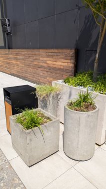 Şık ve çağdaş beton ekiciler canlı yeşilliklerle dolu herhangi bir şehir manzarasını önemli ölçüde güçlendirir.