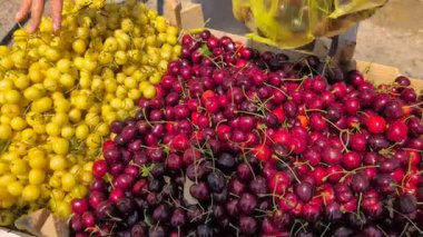 Güzelce istiflenmiş, parlak kirazlar, hem sarı hem de kırmızı, hareketli bir pazarda satışa sunuluyor.
