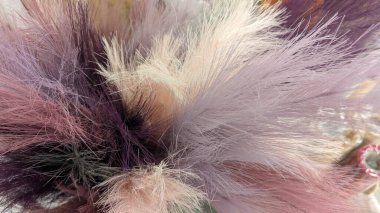 Bu koleksiyonda pastel tonlarda canlı yumuşak dokular sergileniyor, şık ve göz alıcı tasarımlar için mükemmel.