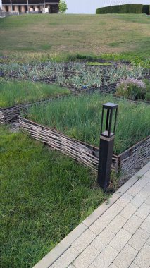 Eskrim ve modern ışıklandırmayla çevrili huzurlu bir bahçe yatağı çevre dostu bir estetiği yakalıyor..