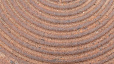 Bu resim kumdaki karmaşık dalga desenlerini gösteriyor, doğal dokuları ve toprak tonlarını vurguluyor.