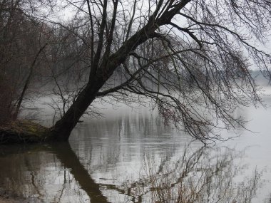 Gölde sisli, kasvetli, yağmurlu bir gün