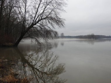 Gölde sisli, kasvetli, yağmurlu bir gün