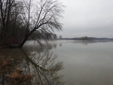Gölde sisli, kasvetli, yağmurlu bir gün