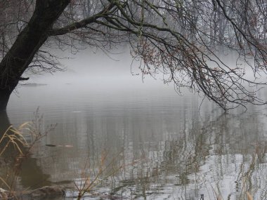 Gölde sisli, kasvetli, yağmurlu bir gün