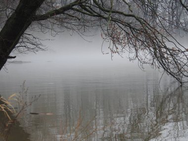 Gölde sisli, kasvetli, yağmurlu bir gün