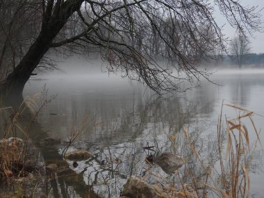 Gölde sisli, yağmurlu, kasvetli bir gün.