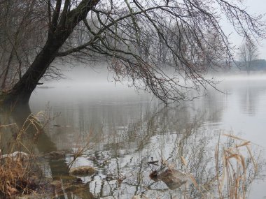 Gölde sisli, yağmurlu, kasvetli bir gün.