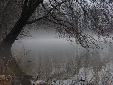 Gölde sisli, yağmurlu, kasvetli bir gün.