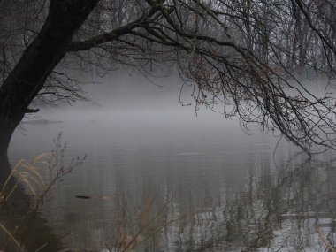 Gölde sisli, yağmurlu, kasvetli bir gün.