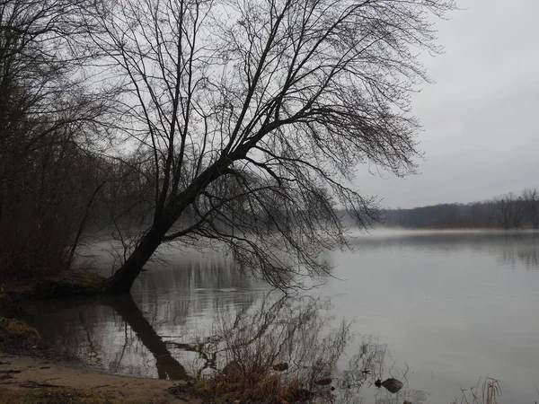 stock image foggy gloomy rainy day at the lake