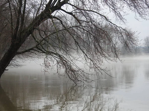 Stock image foggy gloomy rainy day at the lake