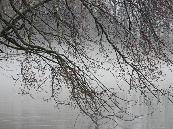 Foggy Gloomy Rainy Day Lake — Stock Photo, Image