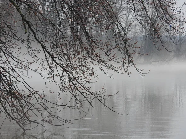 stock image foggy gloomy rainy day at the lake