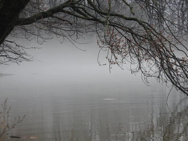 Niebla Sombrío Día Lluvioso Lago — Foto de Stock