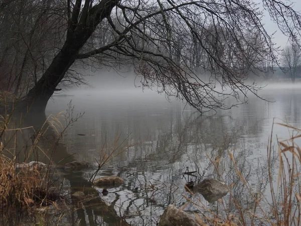 stock image foggy rainy gloomy day at the lake