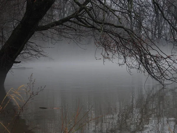 Jour Sombre Pluvieux Brumeux Lac — Photo