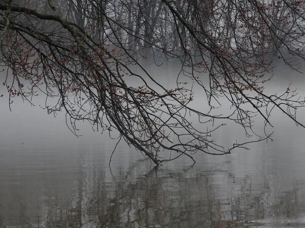 Туманный Дождливый Мрачный День Озере — стоковое фото